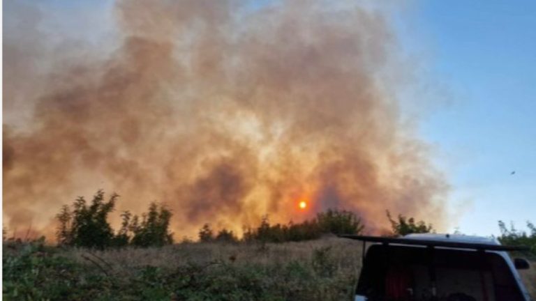Пожарът край Ветрен е овладян, засегнати са близо 3000 дка
